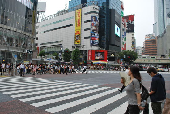 kreuz und quer über Shibuya crossing