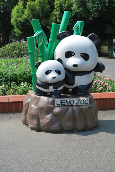 Riesiger Hype um die Pandas - à là Knut, der verstorbene Eisbär