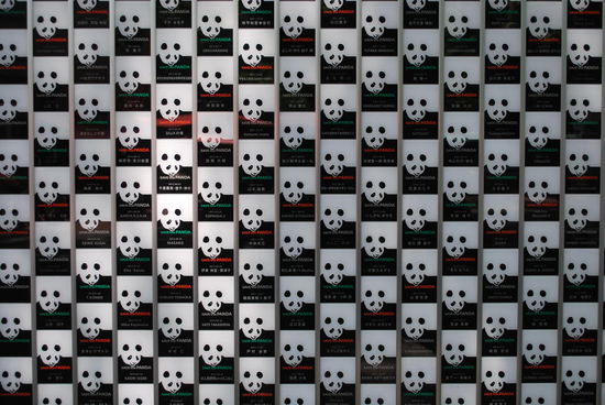 Save the panda´s !