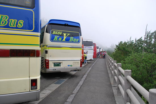 Gigantische Busansammlung auf dem Parkplatz