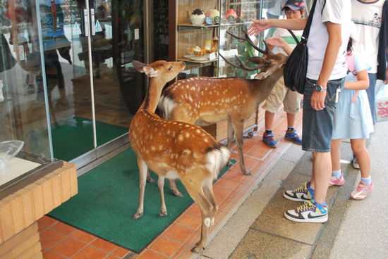 In der ca. 300 m langen Hauptgeschäftsstraße reihen sich Geschäfte an Geschäfte