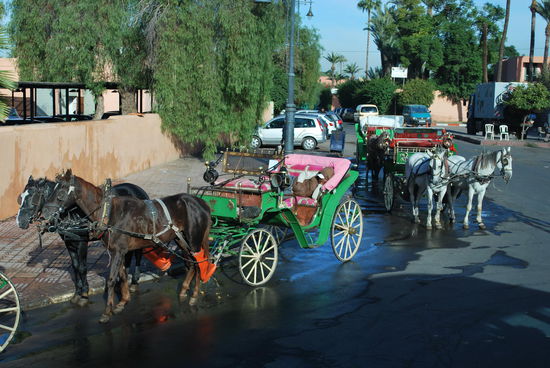 Beliebte Touri-Vehikel, aber die petit´s Taxi´s sind billiger...