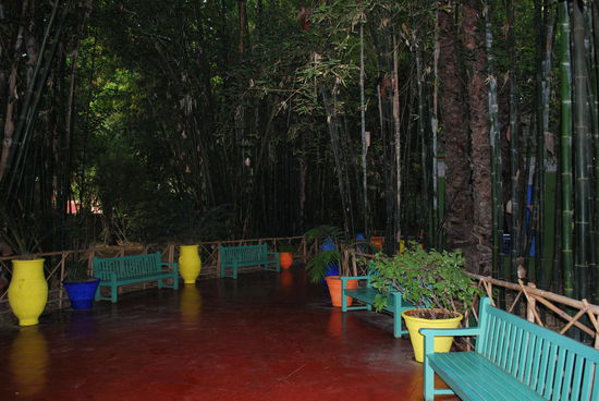 Alle nicht-pflanzlichen Objekte sind in Knallfarben gehalten