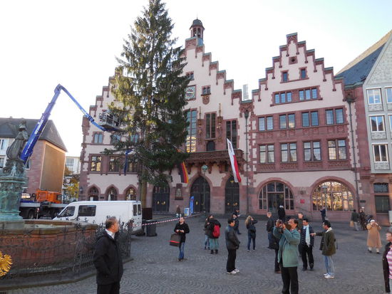 Römer. Der riesige Weihnachtsbaum wird gerade aufgestellt.