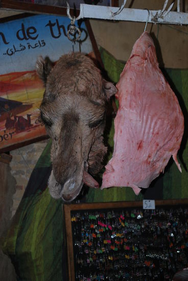 Oh ha ! Kamel oder Dromedar, einen Kopf kürzer. Und neben dem Kopf ist das beste Stück Fleisch zu sehen, oder was ? Ich denke, es ist ein Teil aus dem Schenkel des Wüstenschiffs, aber keine Ahnung. ..
