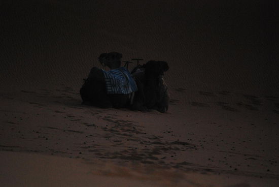 Selbige haben sich im Sand niedergelassen und es interessiert sie 0, dass wir jetzt echt laufen und klettern müssen...