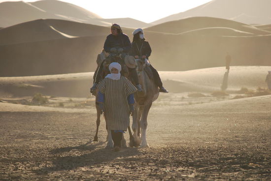 NEID ! Die beiden haben Kamele ergattert, ich hätte auch so gern eines...