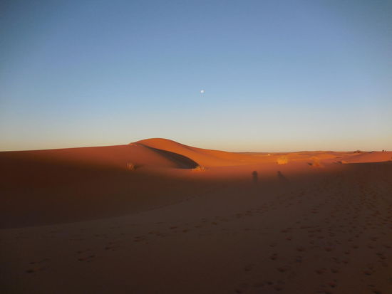 In Erg Chebbi sind eigentlich nur Vier- und Zweibeiner unterwegs, aber das eine oder andere umwelt-feindliche Quad auch. Spuren im Sand.