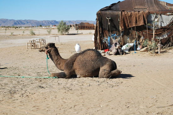 unlimited foto-permit habe ich mit meiner Kette mit-erworben