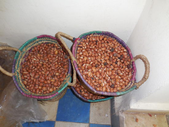 So sehen die Nüsse aus