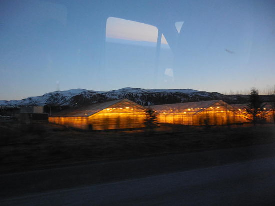 Mit 6 Personen (inkl. Fahrer, der um diese Zeit schon sehr wach und gesprächig ist), fahren wir durch die Dunkelheit Islands zum Reitstall. Hier kommen wir an einigen der Gewächshäusern vorbei, in denen man hierzulande Tomaten und Gurken anbaut...