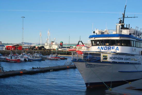 Whalewatching-Touren, northern lights-Touren, alles startet hier.