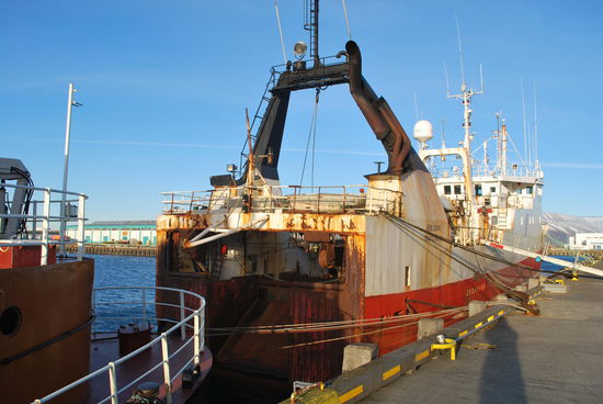 Walfänger - neben Norwegen ist Island das einzige Land der Welt, das noch offiziell und kommerziell auf Walfang geht. Und es sich auch nicht verbieten lassen will. (Japan fischt auch Wale, aber das ist eine andere Geschichte). EU-Beitritt daher unmöglich. Und gerade kürzlich hat Island das EU-Beitrittsgesuch auch zurückgezogen. Walfang ist ihnen wichtiger.