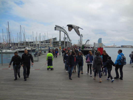 Check ! Die Möwe fliegt schon durchs Bild: Ich bin am Ziel ! Allerdings hängt mir mein Magen nun auch schon in den Kniekehlen, ich habe sooo Hunger, weil ich seit heute morgen um 06.00 Uhr nichts mehr gegessen habe.