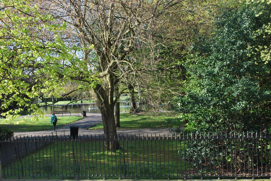 Ausblick auf den Park St. Stephen´s Green