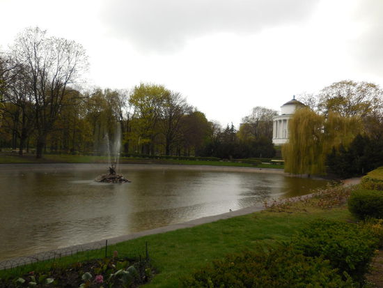 Vorfrühling im sächsischen Garten