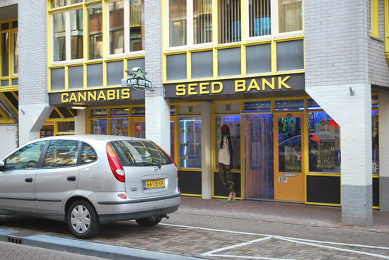 auch hierfür ist Amsterdam berühmt