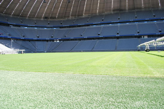 Auf Augenhöhe mit dem Hybrid-Rasen. Die unterschiedlichen Grüntöne kommen durch die Rasenmäh-Richtung zustande. Das wäre ja mal ein Fall für mich Rasenmäh-Profi... ich würde ausrasten, wenn ich da zuhause auch noch Muster reinmähen sollte.