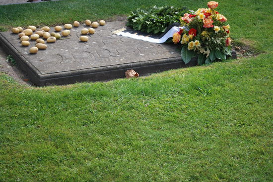 Ich stehe vor dem Grab von Friedrich zwo. Mit einer japanischen Tourimeute um mich herum. Die Reiseleiterin gibt das Rätsel auf "who´s grave is it  ?" Tja, ich bin im Bilde, Friedrich II. war der Kartoffelkönig und hat uns per Kartoffelbefehl diese Erdfrucht näher gebracht. Ansonsten: Siehe unten.