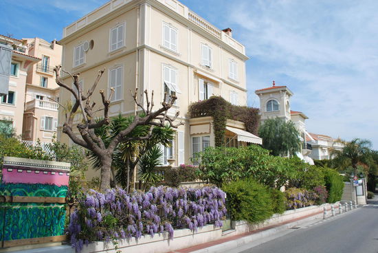 Der Felsen - Le Rocher - von Monaco ist klein, es dauert keine 20 Minuten, um das Ding umrundet zu haben. Schön: Der Blauregen überall...