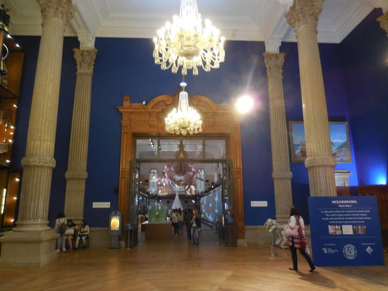 WEIL: Sowas kriegste nirgendwo geboten, in anderen Ozeanarien !