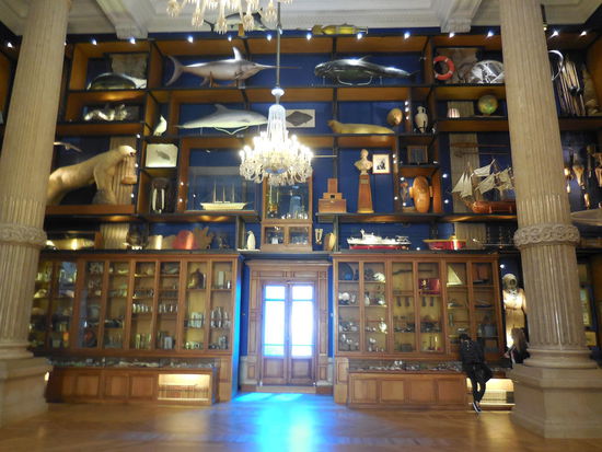 Die Sammlung von Albert I. (und Cousteau ?)