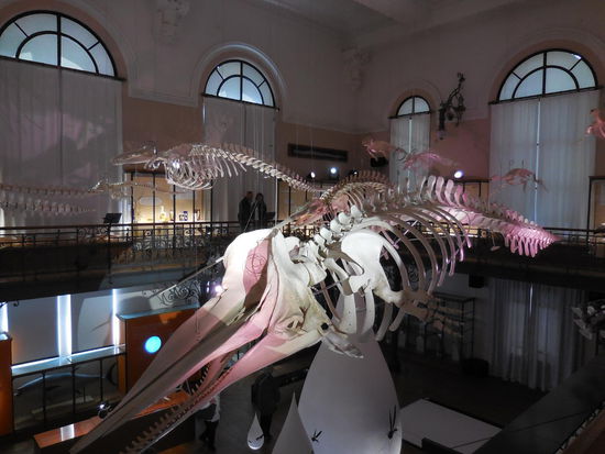 richtig toll präsentiert