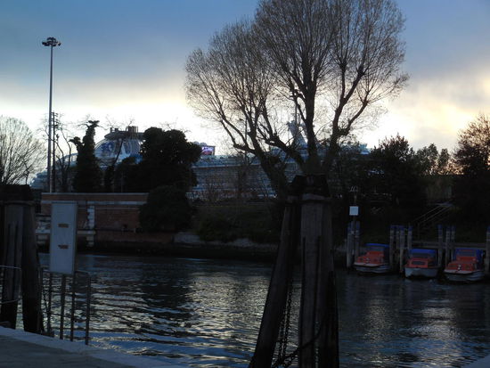 Hinter den Bäumen ein Monster-Kreuzfahrtschiff am Giudecca-Kreuzfahrtterminal.