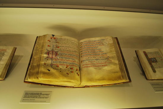 es gibt die unterschiedlichsten Ausstellungsstücke