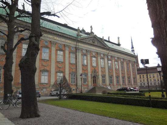 kahle Bäume, keine Blumen.