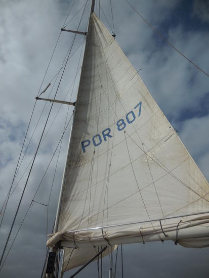 Segel sind gesetzt...