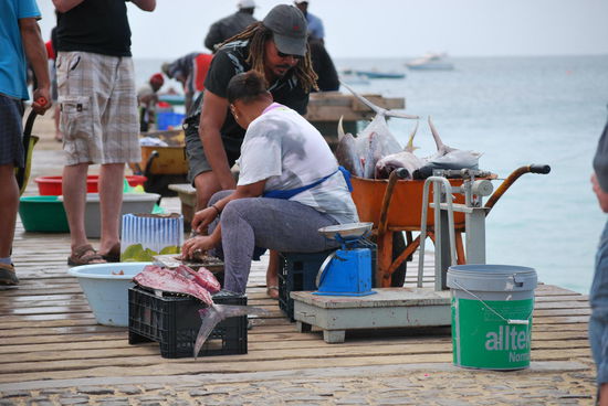 kurz nach Rückkehr der Fischer