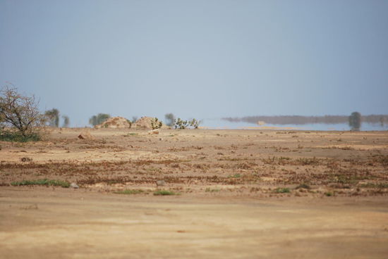 Kommen wir zum Highlight des Tages: Auf Sal kann man nämlich eine echte Fata Morgana sehen ! Das, was zwischen Sand und Himmel so aussieht wie Wasser, ist keines. Sondern eine Luftspiegelung, eben eine Fata Morgana.