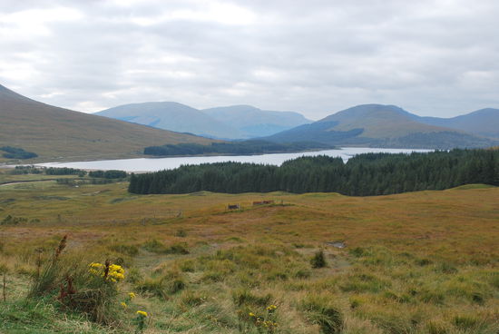 Die Landschaft sieht im wesentlichen so aus. Auf den Straßen herrscht nicht sehr viel Verkehr. Wenn man mal einen Ort durchquert, sieht man hie und da tatsächlich mal einen Mann im Kilt, okay nein - es war nur ein einziger...
im Hintergrund Loch Leven.