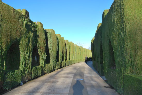 Ich sehe erstmal nur grün. Es gibt hier oben auch die wunderbaren Gärten namens Generalife. Gleich hier ist eine Toílettenanlage, deswegen mache ich den ersten Abstecher erstmal in diese Richtung. Toiletten sollte man auf dem Gelände im Auge behalten und sie rechtzeitig benutzen - mehr dazu lerne ich heute später...