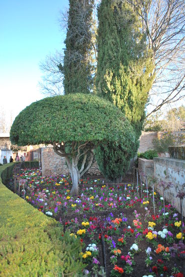 Überall frische Blümchen...