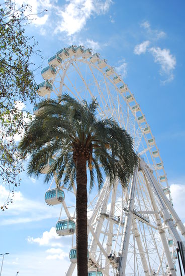 Riesenrad an der Hafenpromenade