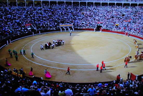 mithilfe der Videos kann man sich vorstellen, wie eine echte Corrida aussieht