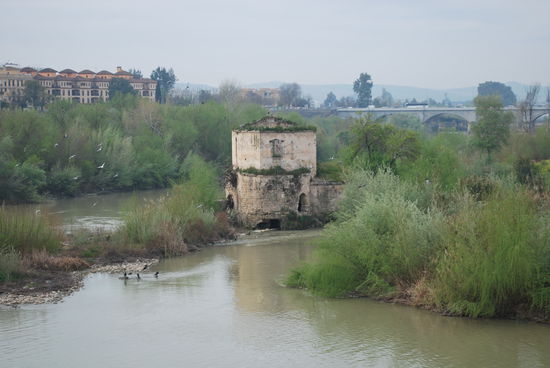 ein komischer Fluss, dieser Guadalquivir