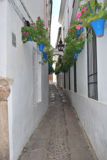 Diese kleine Gasse liegt unweit der Mezquita - Calleja de las Flores - unbedingt mal hineingehen, denn von hier aus hat meinen einen Postkartenblick auf den Glockenturm
