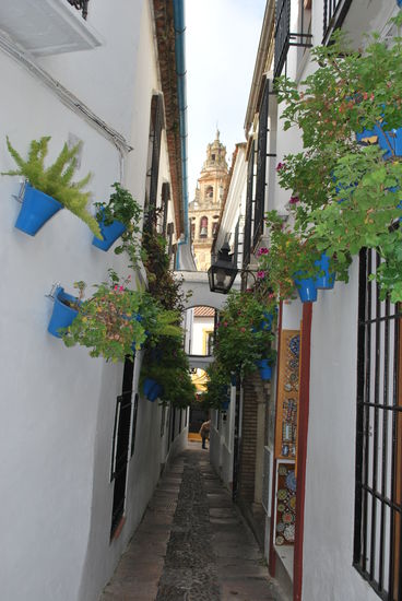 Das ist das Fotomotiv von der Calleja de las Flores. Es ist natürlich kein Monumental-Foto, aber eben so ganz typisch Córdoba mit den Blumenpötten, den weiß-gekalkten Wänden usw. Mit einem besseren Kamera-Objektiv bekommt man auch das Foto schöner hin, ganz sicher...