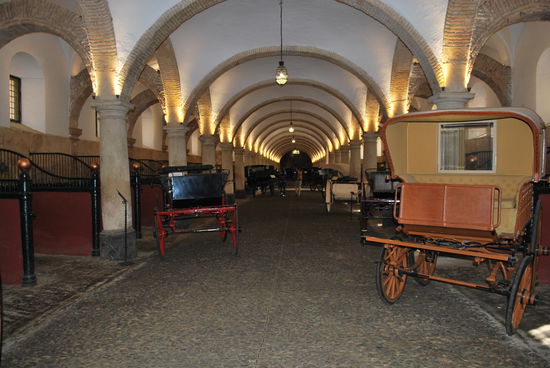 Eintritt frei, aber es sind auch nur wenige Kutschen zu sehen und die auch nicht besonders interessant. Einmal durchlatschen und gut.