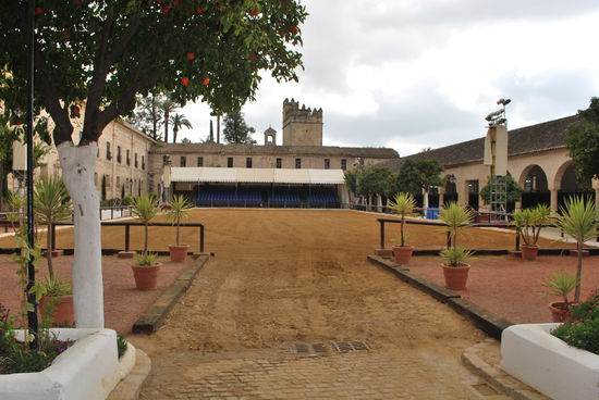 Hier findet regelmäßig eine Pferdeshow statt