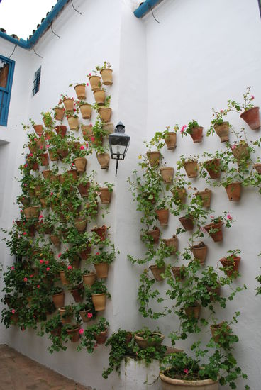Córdoba ist berühmt für seine Patios mit reichlich Blumenschmuck und hierzu gibt es einmal im Jahr sogar einen Wettbewerb um den schönsten Patio