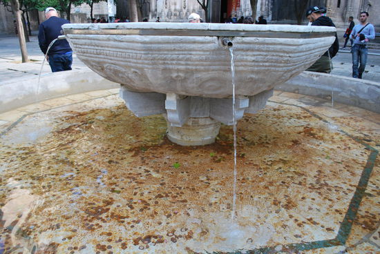Im Brunnen liegen unzählige Cent-Münzen, die vor sich hinrosten