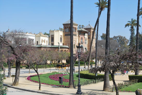 Plaza de América - mit vielen weißen Tauben am schönen Brunnen im Park