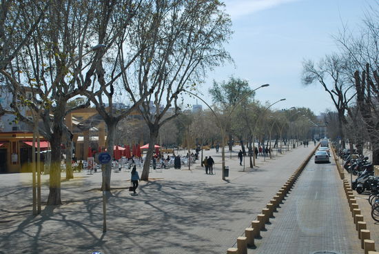 Alameda de Hercules