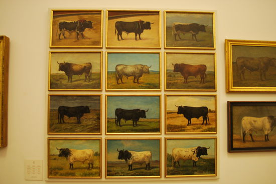 Es gibt ein kleines Stierkampfmuseum in Sevilla - und es ist zum Gähnen langweilig.