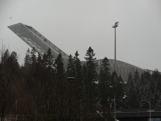 Ich habe meine Kamera jetzt nicht etwa auf schwarz-weiß umgestellt, es ist leider so grau-in-grau heute...