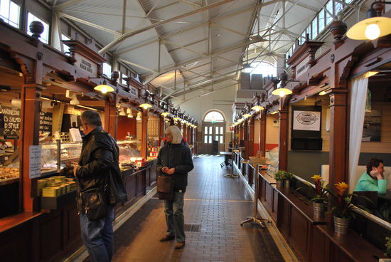 auf der Suche nach Moltebeeren...